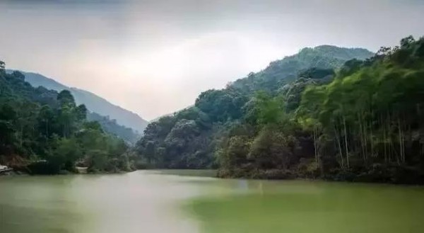 化州播扬扶荫地,那些你不知道的传说