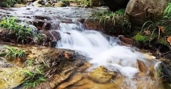 化州播扬扶荫地,那些你不知道的传说