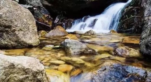 化州播扬扶荫地,那些你不知道的传说