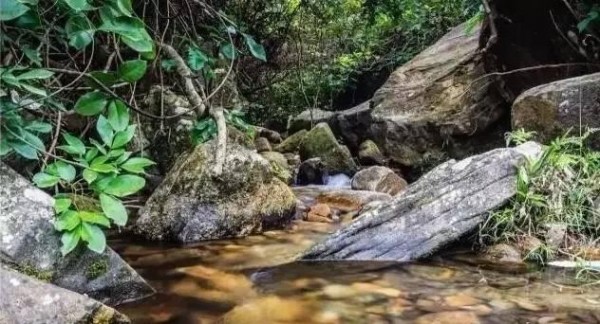 化州播扬扶荫地,那些你不知道的传说